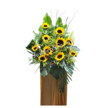 Opening Stand Flowers